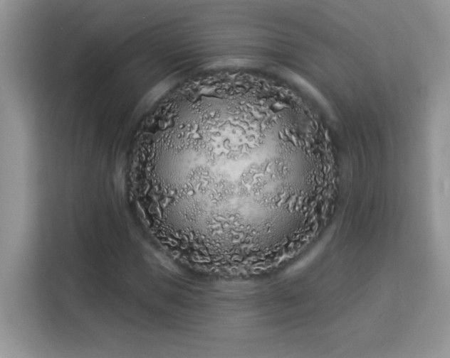 X0000114160921200910081350