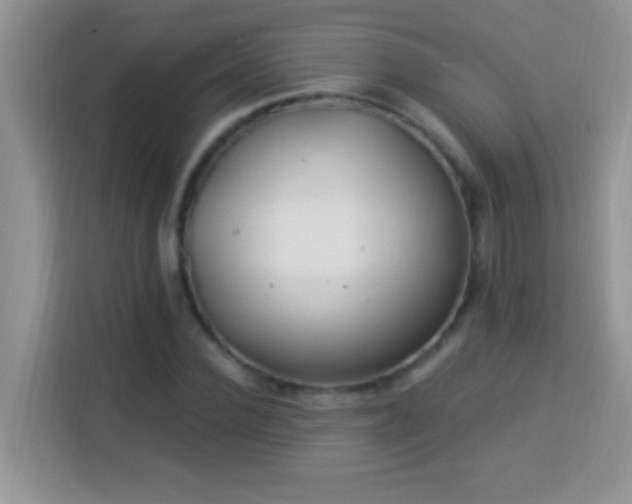 X0000114160924200910081350