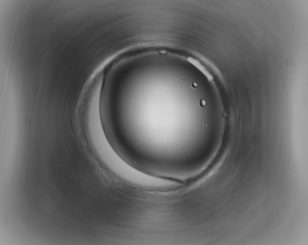 X0000114160925200910081350