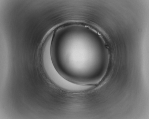 X0000114160926200910081350