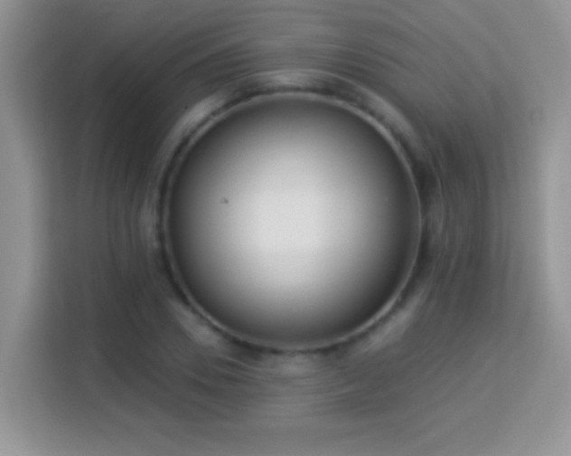 X0000114160930200910081350