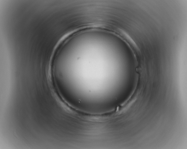 X0000114160932200910081350