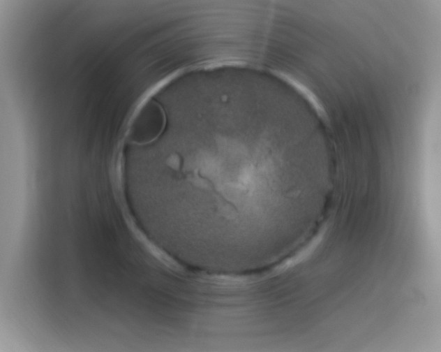 X0000114160933200910081350