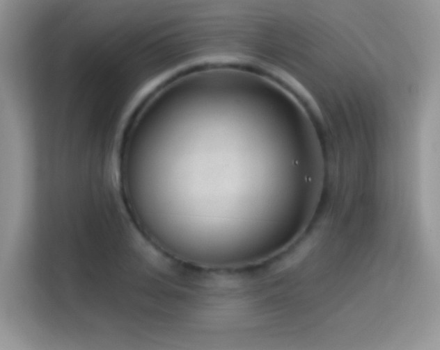 X0000114160935200910081350