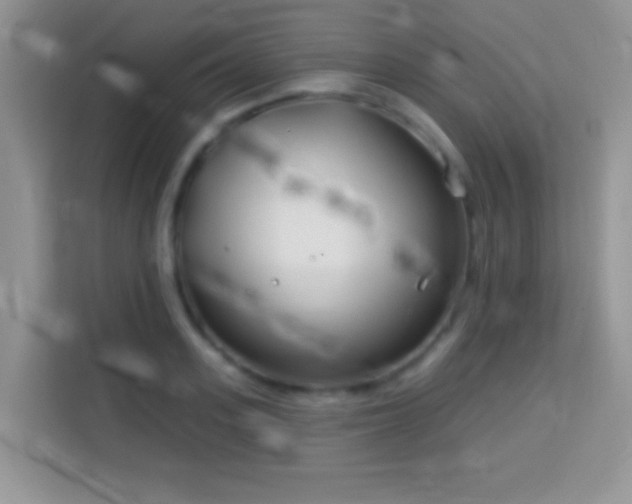 X0000114160939200910081350