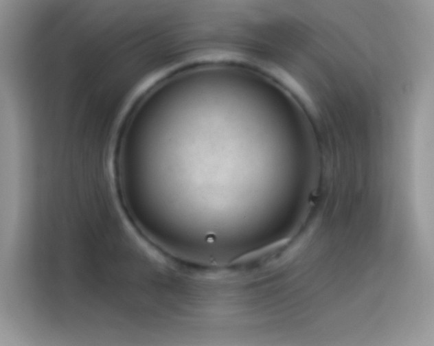 X0000114160943200910081350