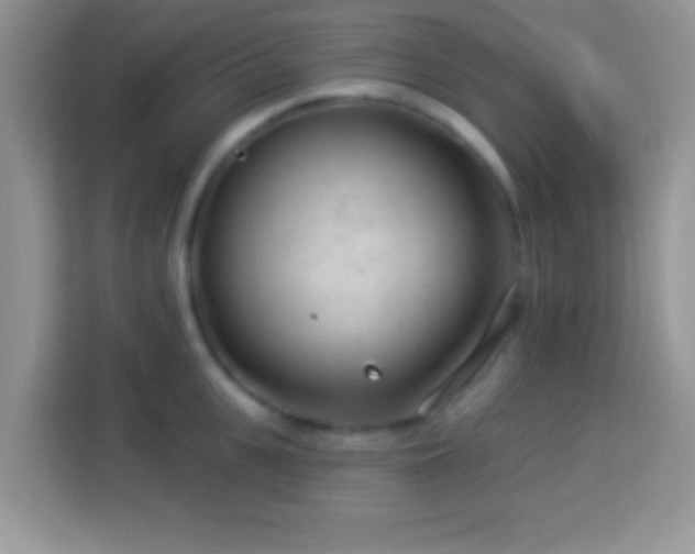X0000114160951200910081351