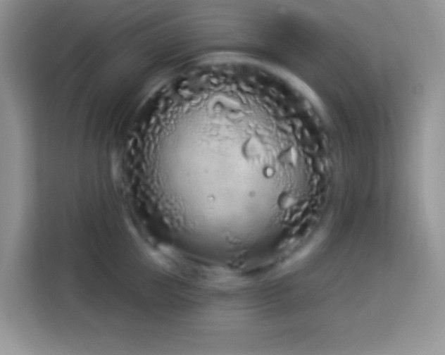 X0000114160953200910081351
