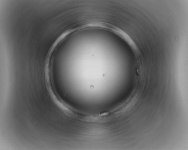 X0000114160955200910081351