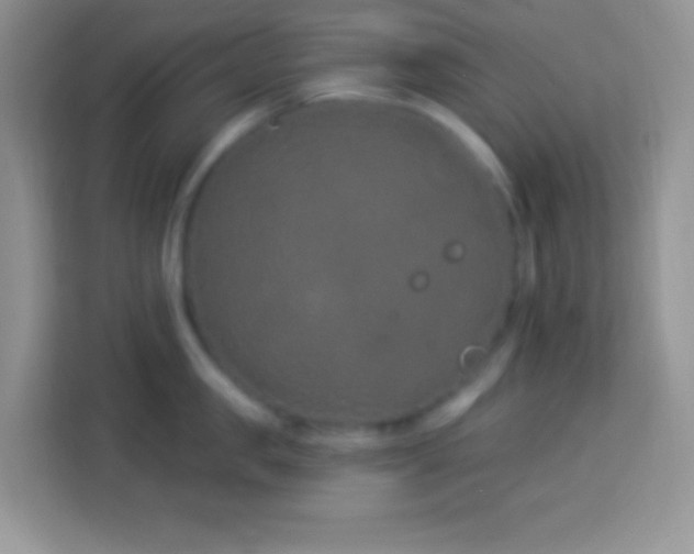 X0000114160957200910081351
