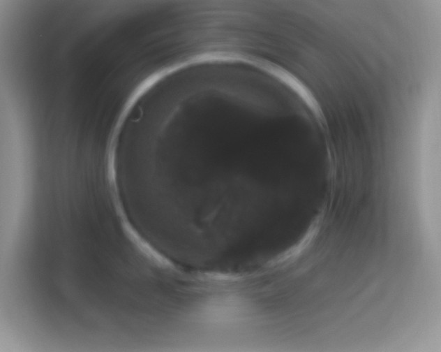 X0000114160958200910081351