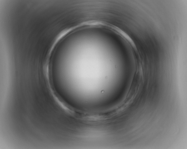 X0000114160959200910081351