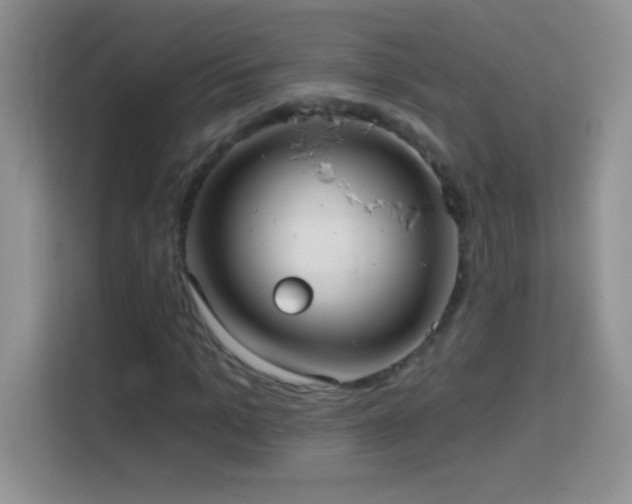 X0000114160965200910081350
