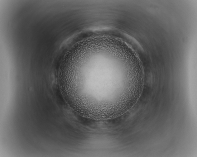 X0000114160966200910081350