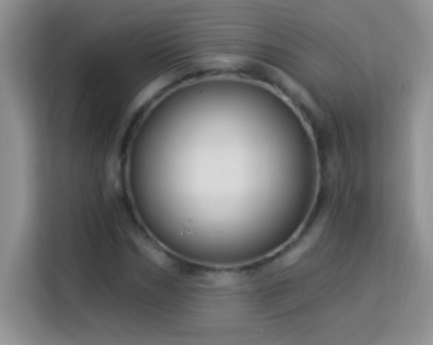 X0000114160970200910081350