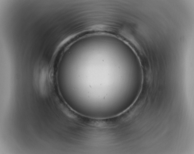 X0000114160971200910081350