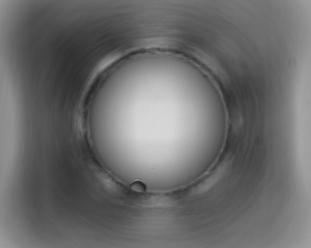 X0000114160974200910081350