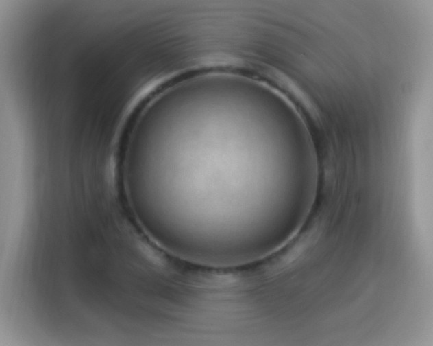 X0000114160975200910081350