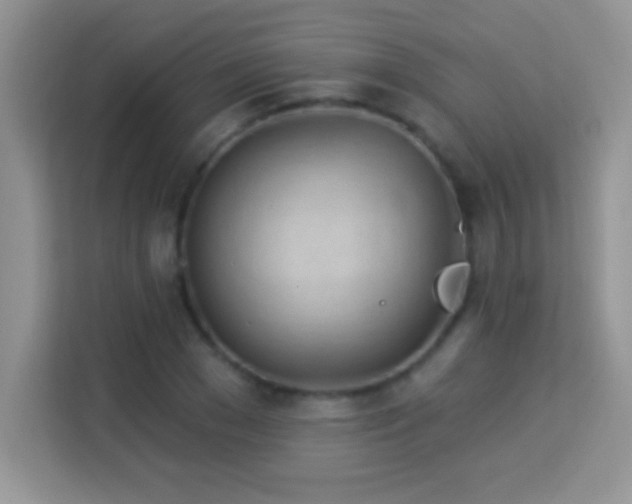X0000114160977200910081350