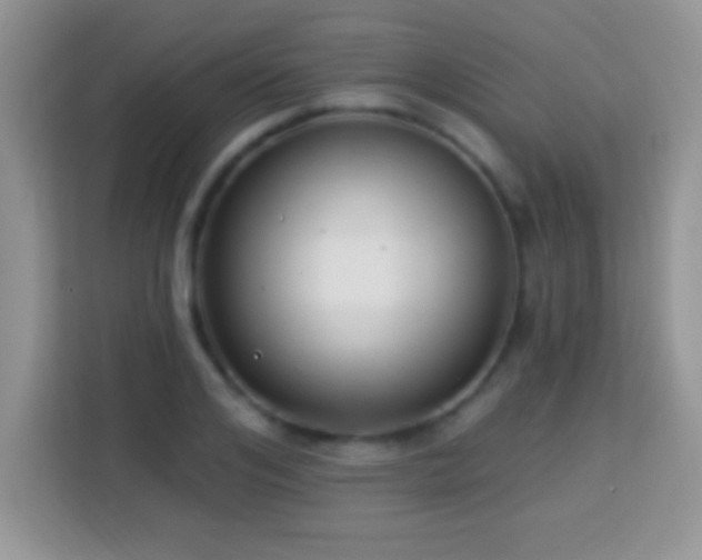 X0000114160984200910081350