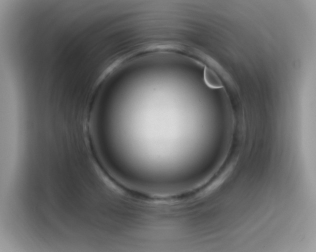 X0000114160985200910081350
