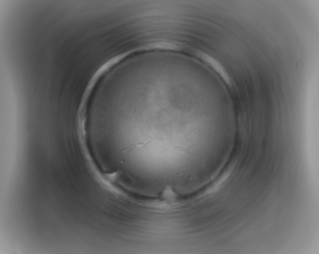 X0000114160987200910081350