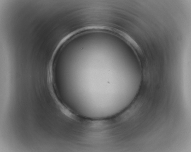 X0000114160988200910081350