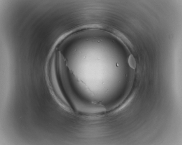 X0000114160989200910081350