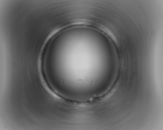 X0000114160991200910081350