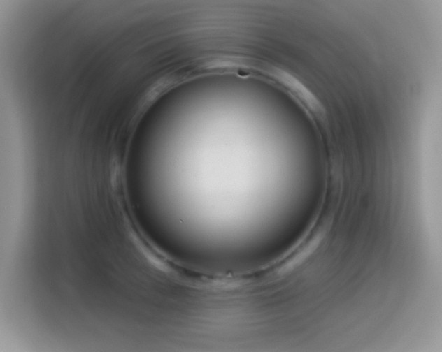 X0000114160993200910081350