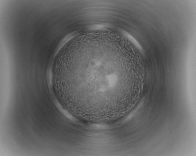 X0000114160994200910081350