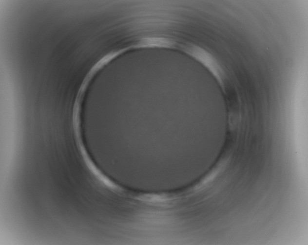 X0000114160995200910081350