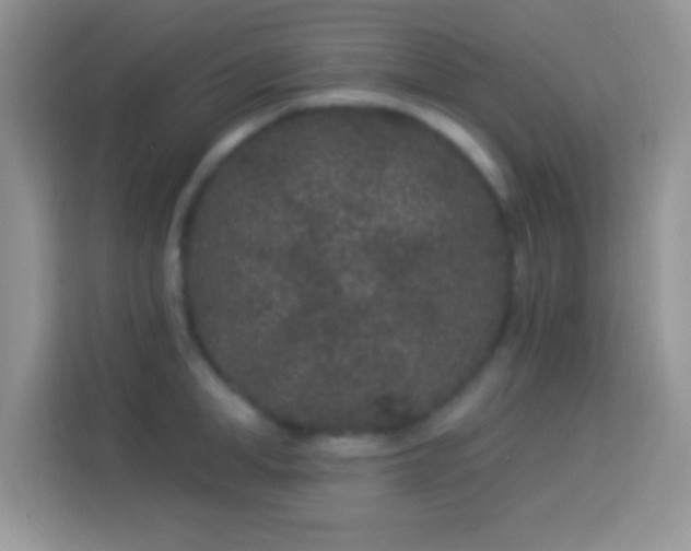 X0000114160998200910081350