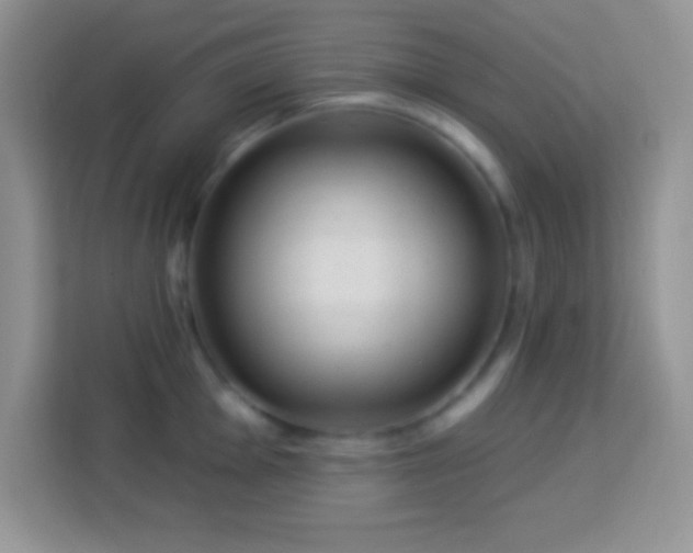 X0000114161001200910081350