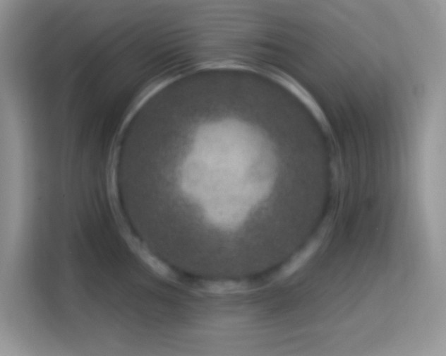 X0000114161002200910081350