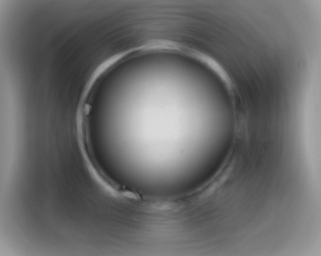 X0000114161003200910081350