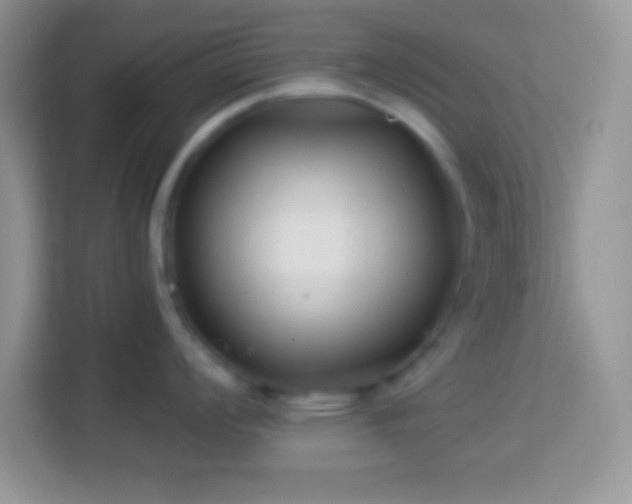 X0000114161008200910081349