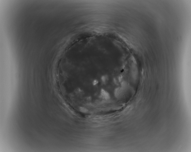 X0000114161009200910081349