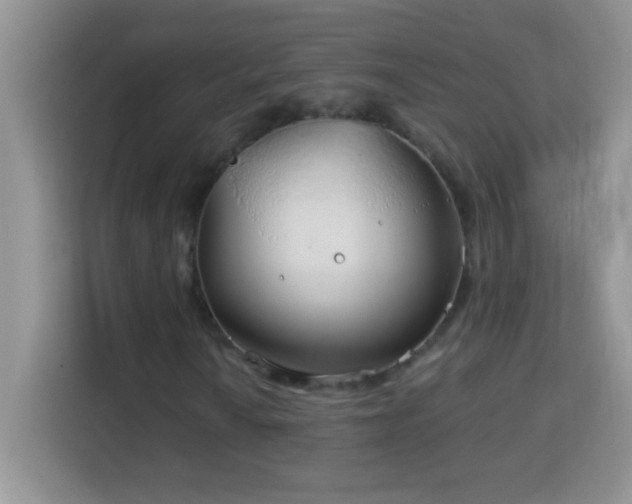 X0000114161010200910081349