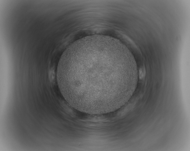 X0000114161011200910081349