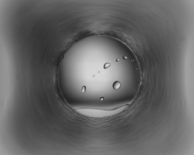 X0000114161012200910081349
