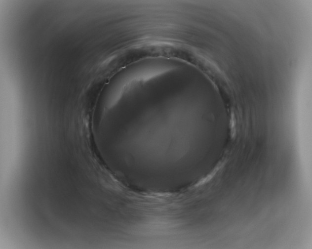 X0000114161013200910081349