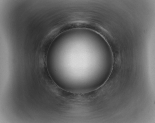 X0000114161014200910081349