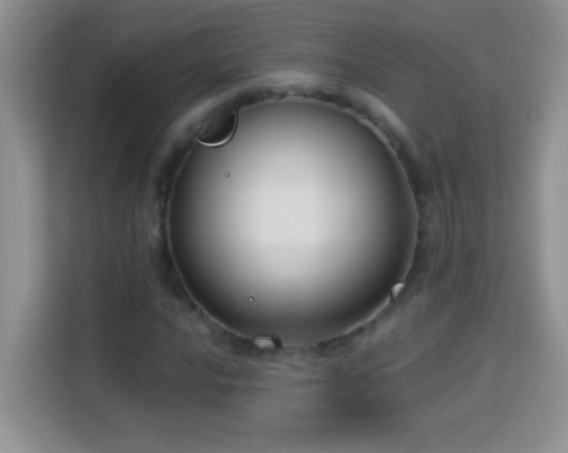 X0000114161016200910081349