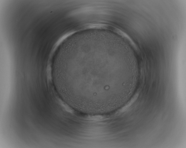 X0000114161019200910081349
