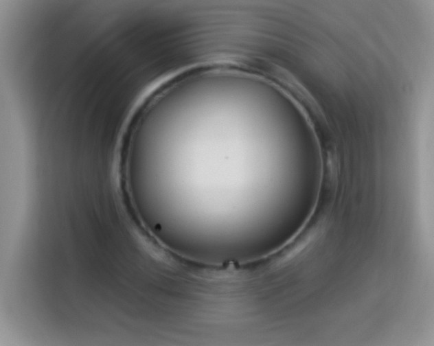 X0000114161020200910081349