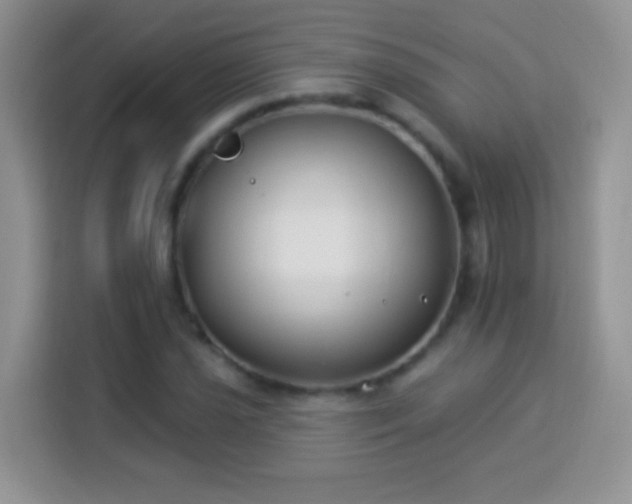 X0000114161021200910081349