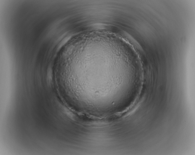X0000114161023200910081349