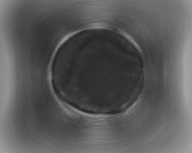 X0000114161024200910081349