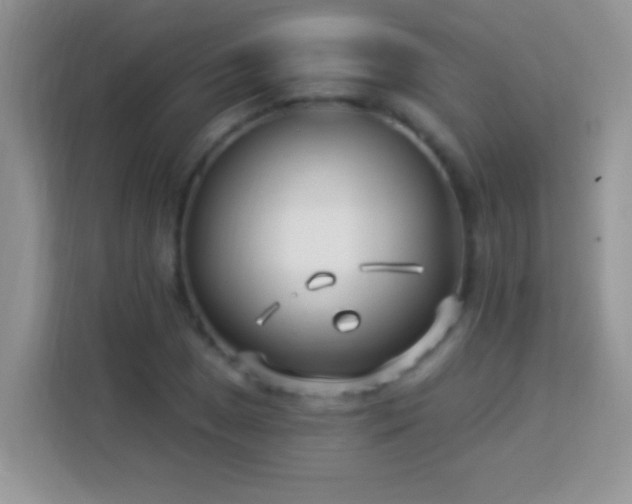 X0000114161025200910081349